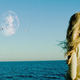 Image for article titled Which summer movie will be this year's surprise hit?